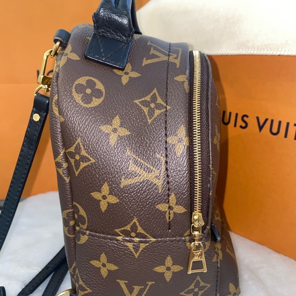 Louis Vuitton PALM SPRINGS LEATHER BACKPACK - Picture 4 of 10